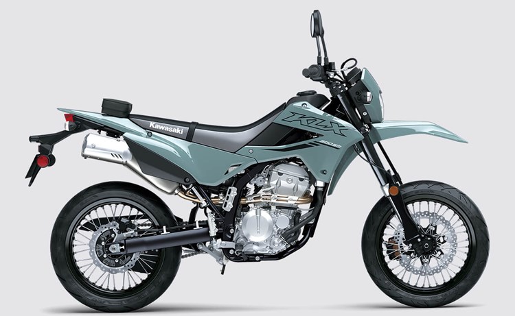 Kawasaki KLX®300SM, Motorcycle