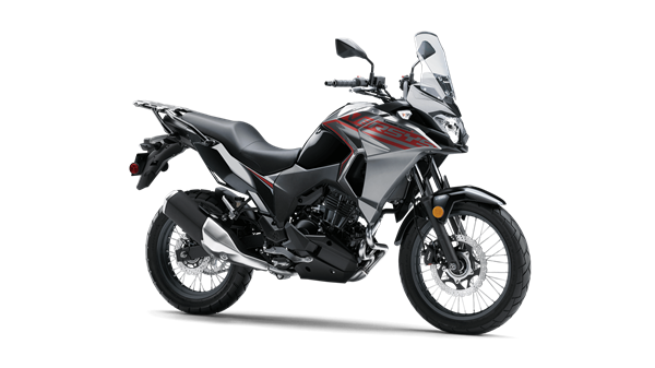 Versys®-X 300