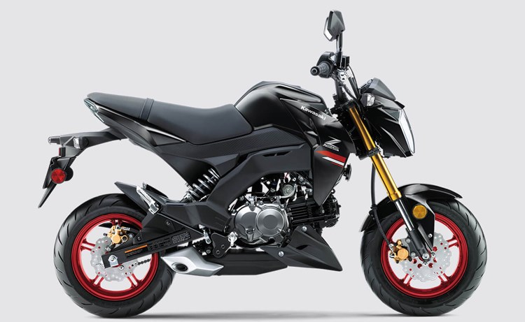 Z125 PRO