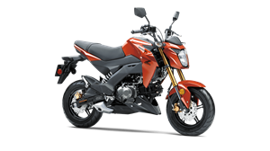 ストライカー Kawasaki Z125 PRO | Naked Motorcycle | Nimble & Fun