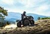 Profile angle of a person riding an ATV off-road.