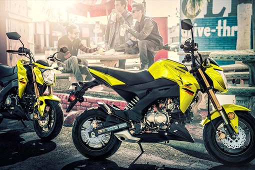 Kawasaki Z125 PRO | Naked Motorcycle | Streetfighter