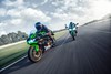 Profile angle of person riding a motorcycle on a racetrack. 