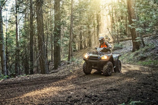 Three-quarter front angle of a person riding an ATV through trees. opens in a new window