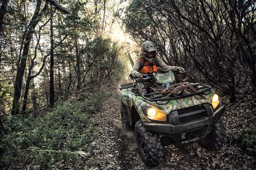 Front angle of a person riding an ATV through trees. opens in a new window