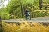 Three-quarter front angle of a person riding a motorcycle on a highway surrounded by trees.
