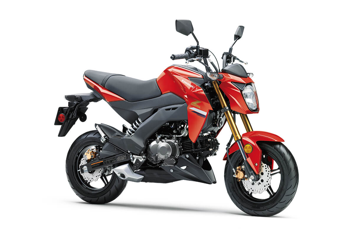 2023 Kawasaki Z125 PRO | Naked Motorcycle | Mini Streetfighter