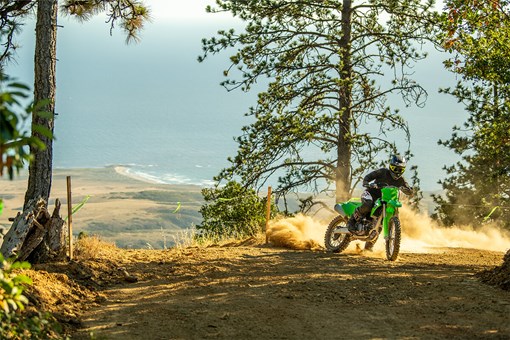 Three-quarter front angle of a person riding a motorcycle through some trees off-road. opens in a new window