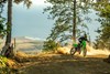 Three-quarter front angle of a person riding a motorcycle through some trees off-road.