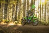 Three-quarter front angle of a person riding a motorcycle off-road through a forest.