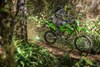 Three-quarter front angle of a person riding a motorcycle off-road through thick woods.