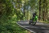 Three-quarter front angle of a person riding a motorcycle while surrounded by trees.