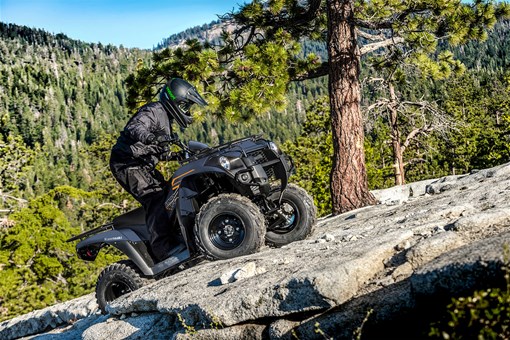  Side angle of a person riding an ATV off-road. opens in a new window