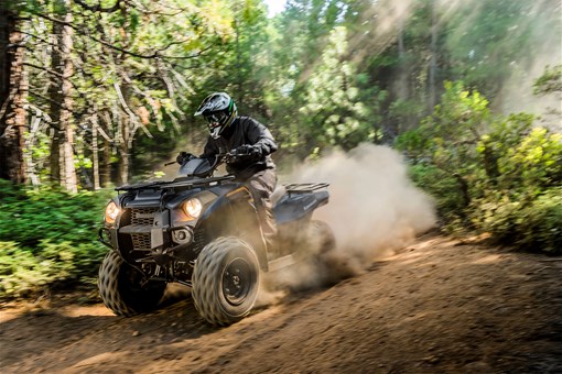 Profile angle of a person riding an ATV off-road. opens in a new window