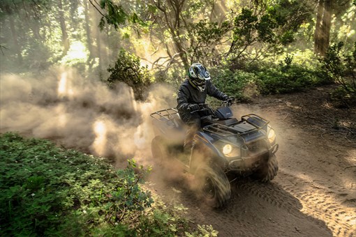 Overhead angle of a person riding an ATV off-road. opens in a new window