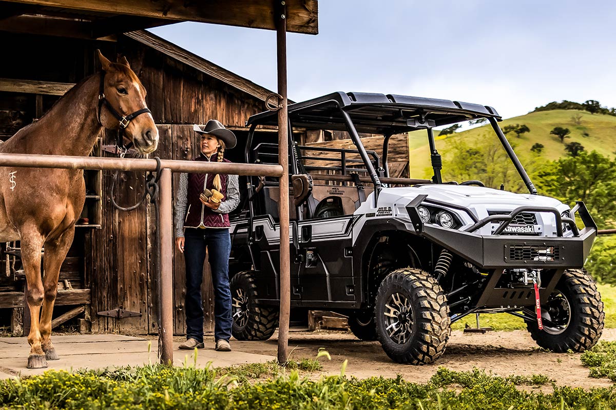 Three-quarter front angle of a person and a horse standing next to side x side in front of a barn.