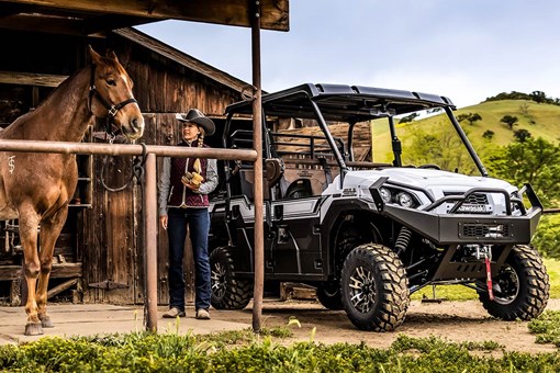 Three-quarter front angle of a person and a horse standing next to side x side in front of a barn. opens in a new window