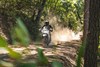 Front angle of a person riding a motorcycle on an off-road trail.