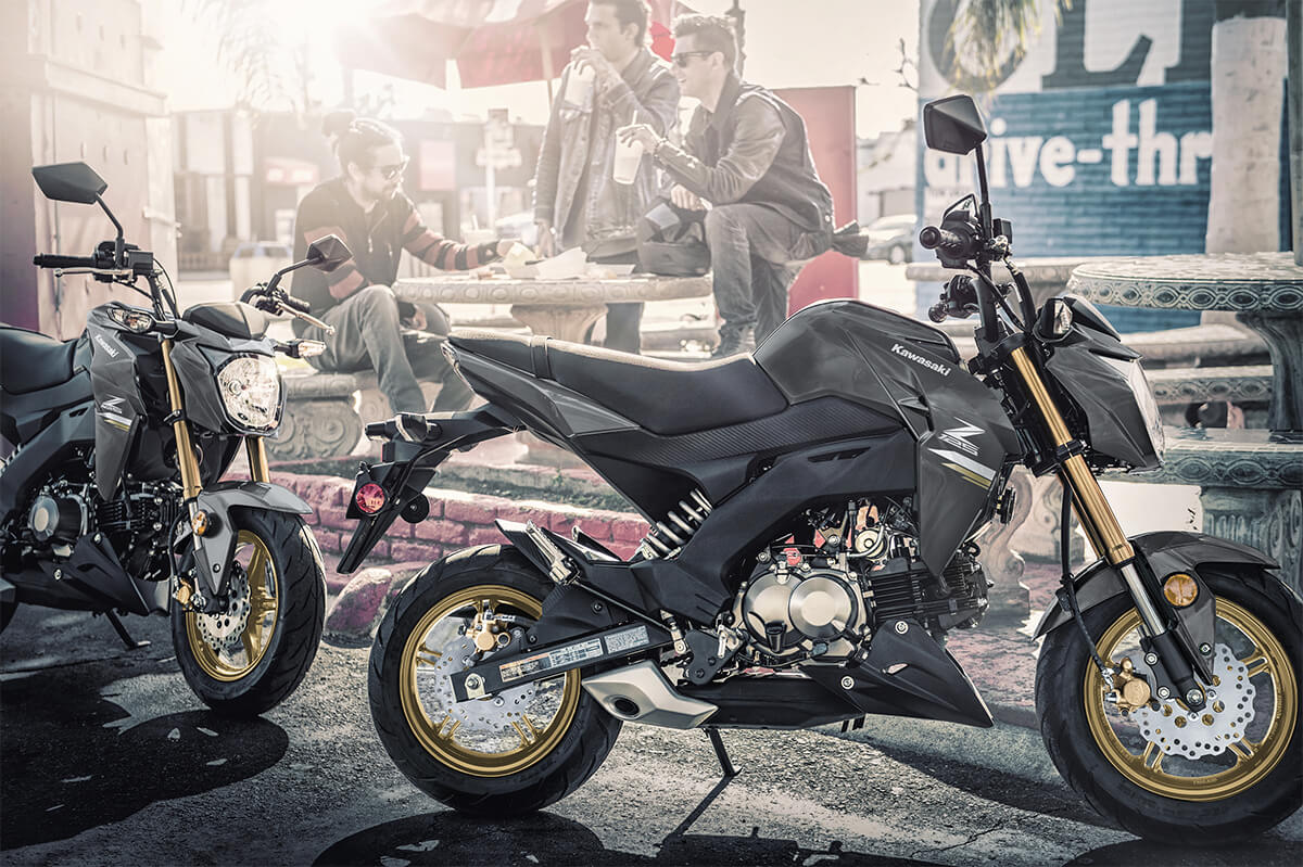 2024 Kawasaki Z125 PRO | Naked Motorcycle | Mini Streetfighter