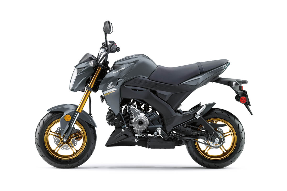 2024 Kawasaki Z125 PRO Naked Motorcycle Mini Streetfighter