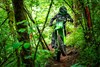 Front angle of a person riding a motorcycle on a wooded trail.