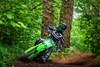 Front angle of a person riding a green motorcycle on a wooded trail.