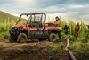 Profile angle of a side x side parked off-road.