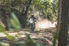 Front angle of a person riding a motorcycle on a dirt road.