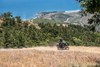 Side angle of a person riding a motorcycle on a dirt road with trees and coastline in the background. 