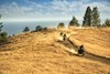 Front angle of three motorcycles riding on a dirt trail.