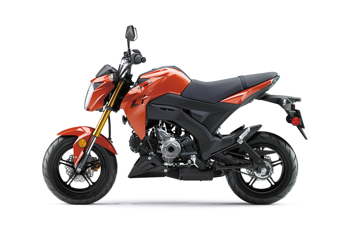 2025 Kawasaki Z125 PRO | Naked Motorcycle | Mini Streetfighter