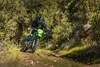 Front angle of a person riding a motorcycle on a dirt road with trees.