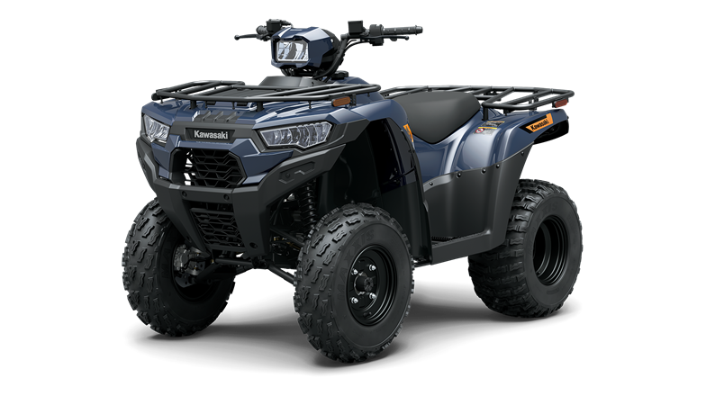 BRUTE FORCE® 300 featured vehicle