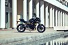 Side angle of a motorcycle parked.