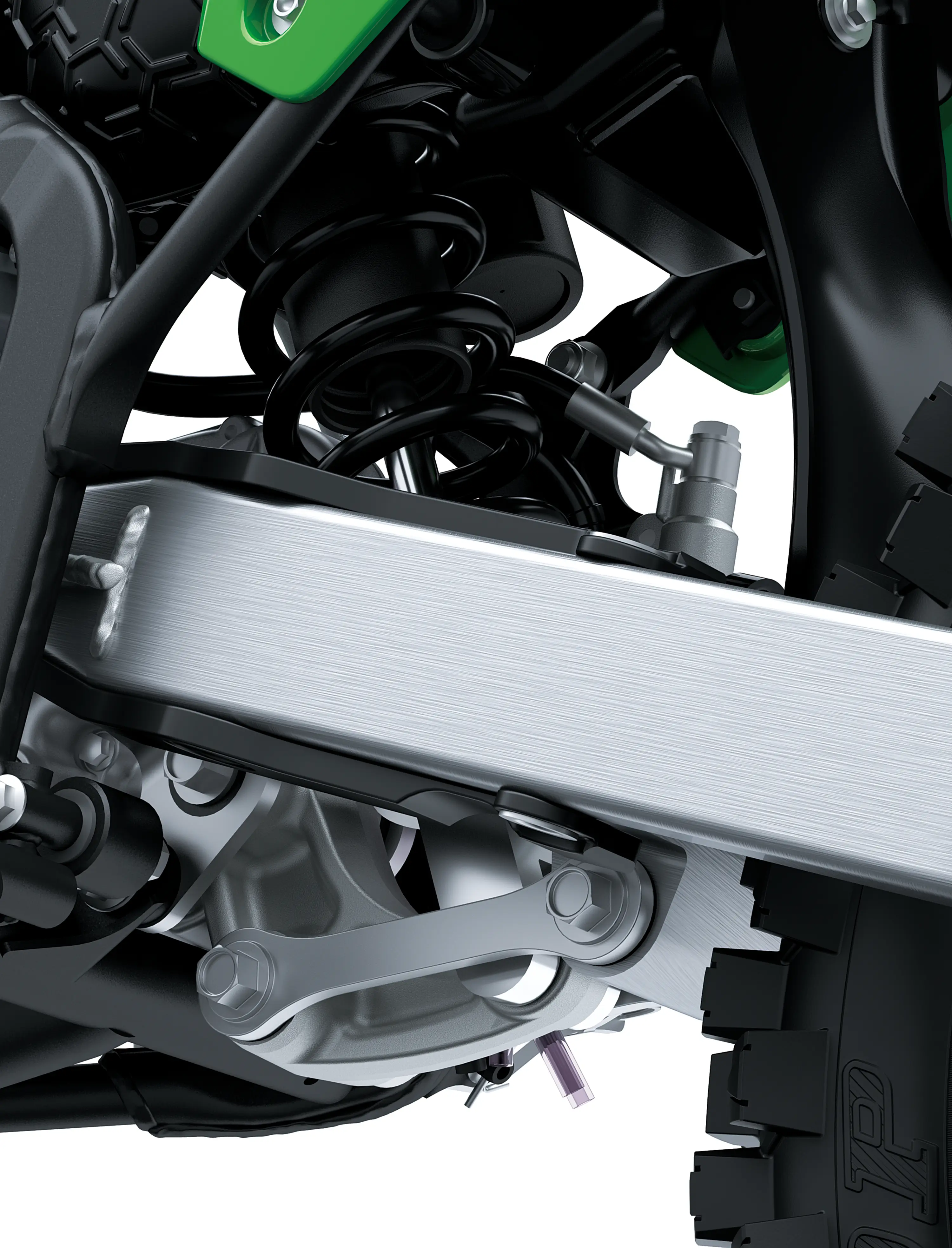 Closeup detail in studio.