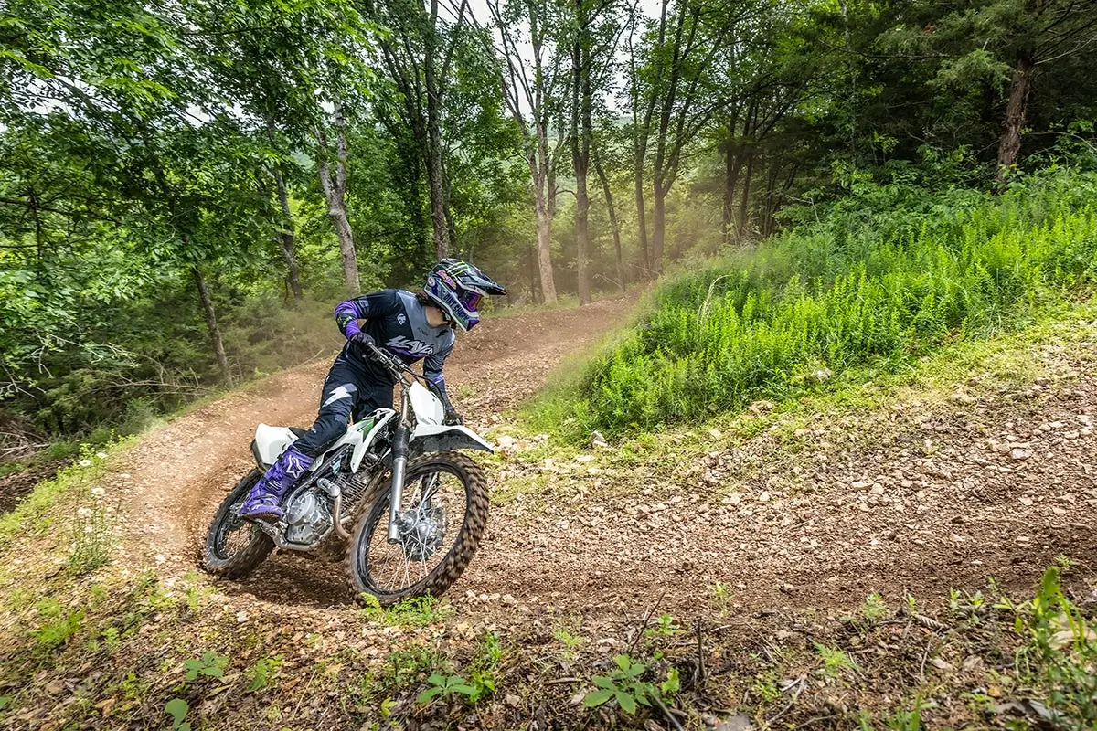2027 KLX®230R S