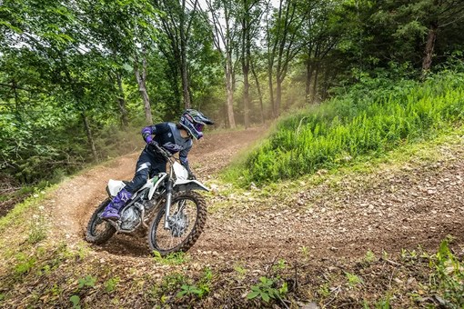 2027 KLX®230R S opens in a new window