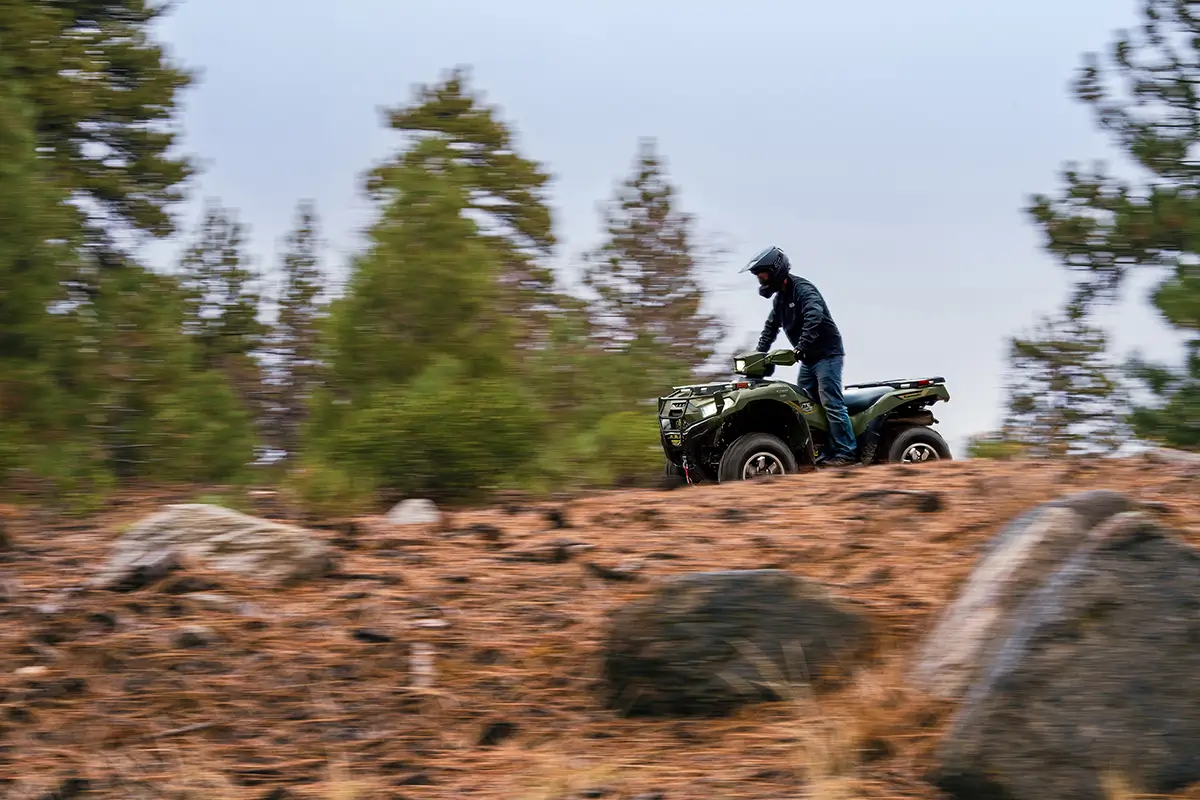 A person riding a utility ATV on a road with pine trees in the background.