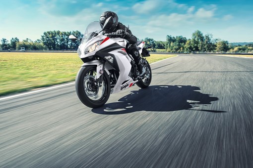 2026 NINJA® 300 ABS opens in a new window