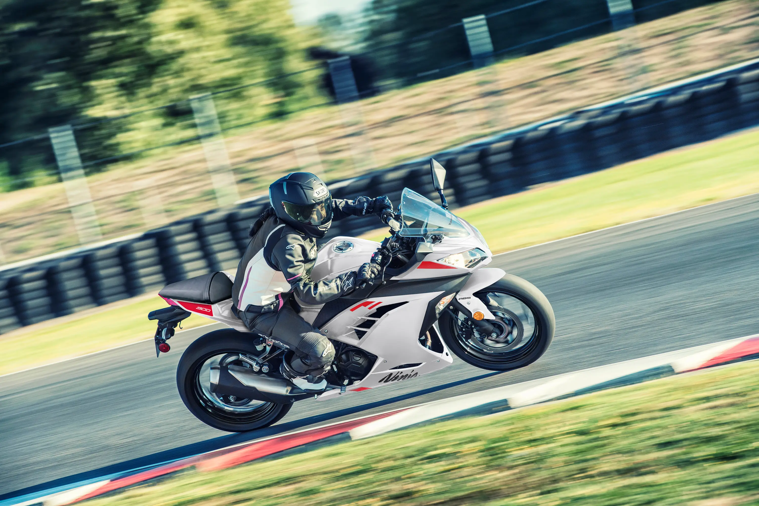 2026 NINJA® 300 ABS