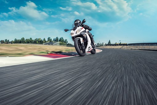 2026 NINJA® 300 ABS opens in a new window