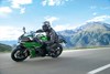 Profile angle of person riding a motorcycle on a scenic road.