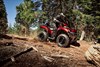 Profile angle of person riding an ATV on a dirt trail.