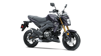 2020 Z125 PRO