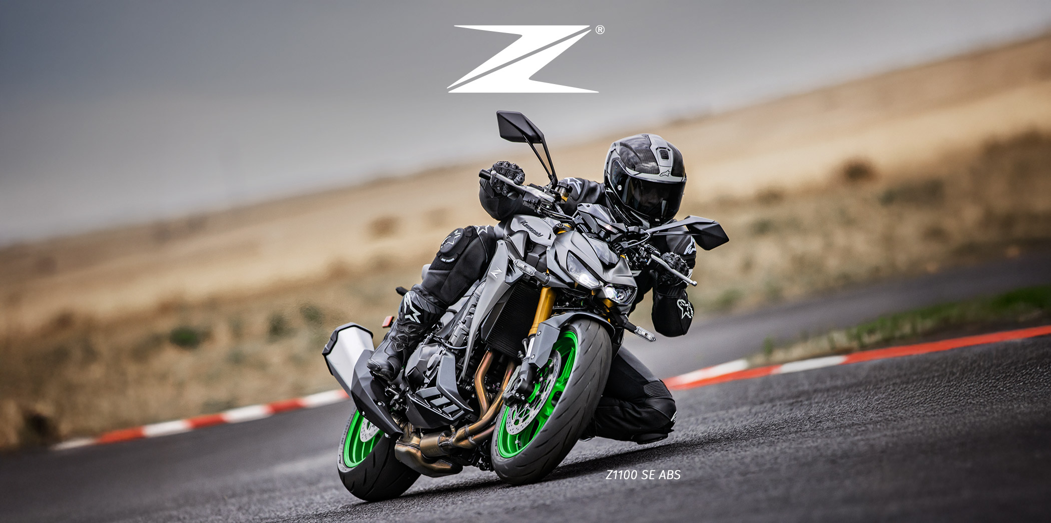 Z FAMILY