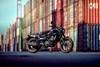 2025 ELIMINATOR SE