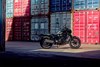 2025 ELIMINATOR SE