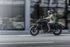 2025 ELIMINATOR SE