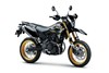 2024 KLX230SM SE