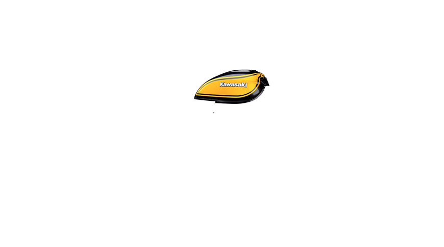 Z900RS SE ACC Config